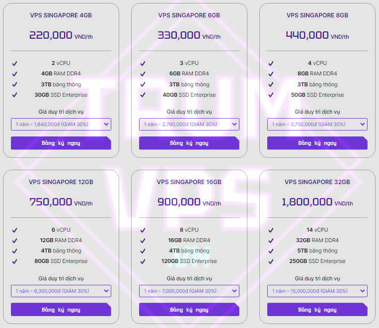 TRUMVPS - Đơn vị cung cấp VPS đã quốc gia hàng đầu VIệt Nam