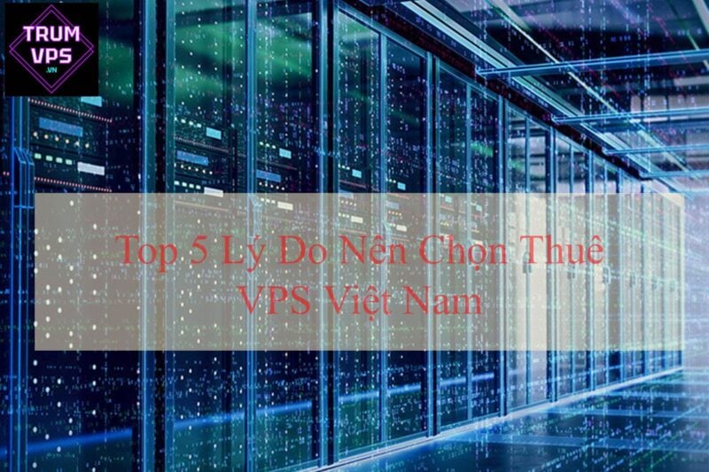 Top 5 lý do nên thuê VPS Việt Nam