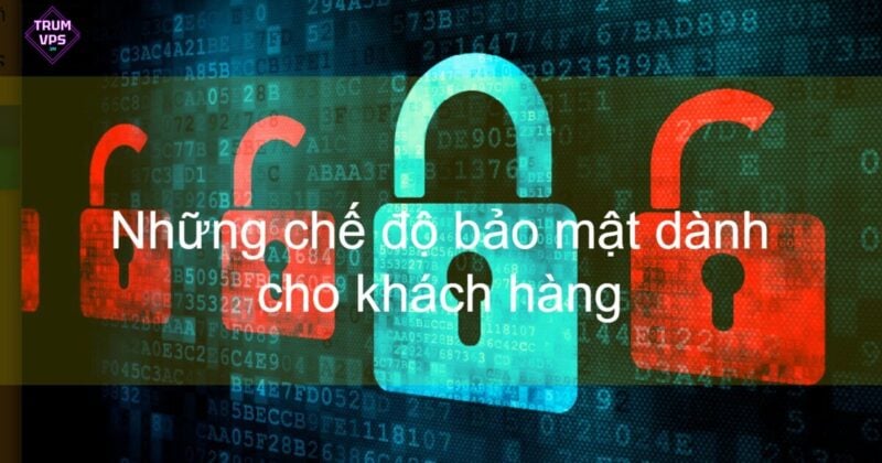 Ưu điểm khi Thuê VPS Việt Nam tại TrumVPS