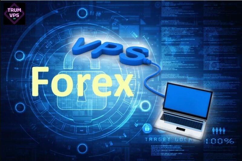 Thuê VPS Forex và hướng dẫn sử dụng VPS Forex