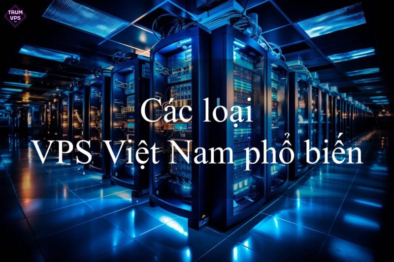 VPS Việt Nam là gì? Những điều cần biết về VPS Việt Nam
