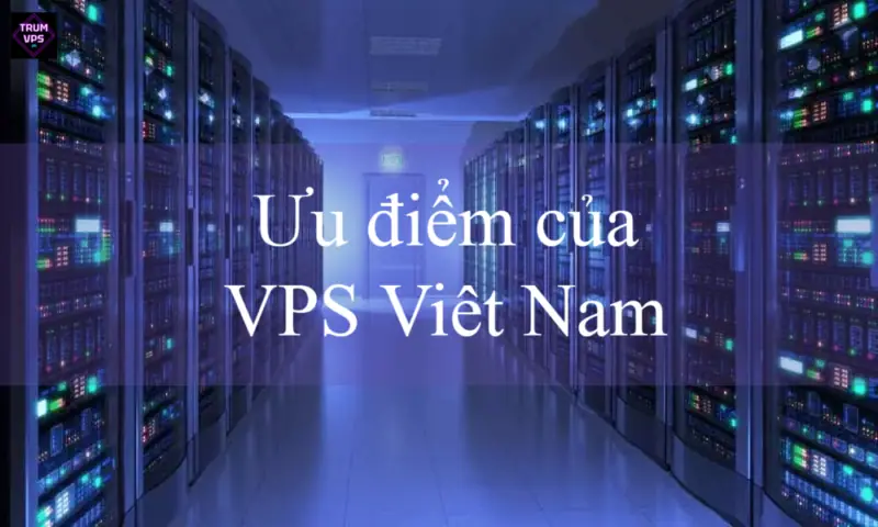 Ưu Điểm Khi Thuê VPS Việt Nam Tại TrumVPS
