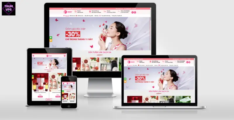 Hướng Dẫn Chi Tiết Về Theme WordPress Full
