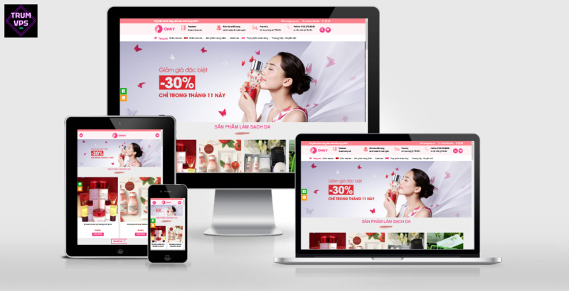 Hướng Dẫn Chi Tiết Về Theme WordPress Full