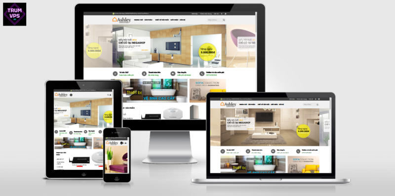 Hướng Dẫn Chi Tiết Về Theme WordPress Full