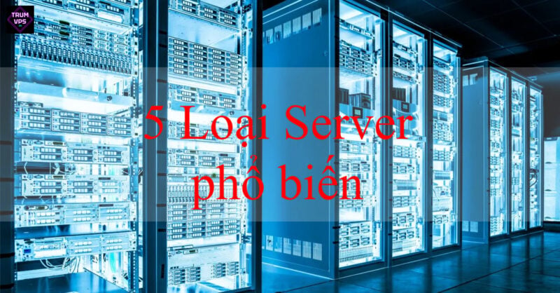Server là gì Hướng dẫn từ A đến Z tại TrumVPS 2024
