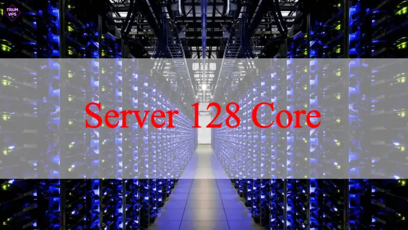 Tìm Hiểu Về Server Work, Các Loại Server Tại TrumVPS 2024