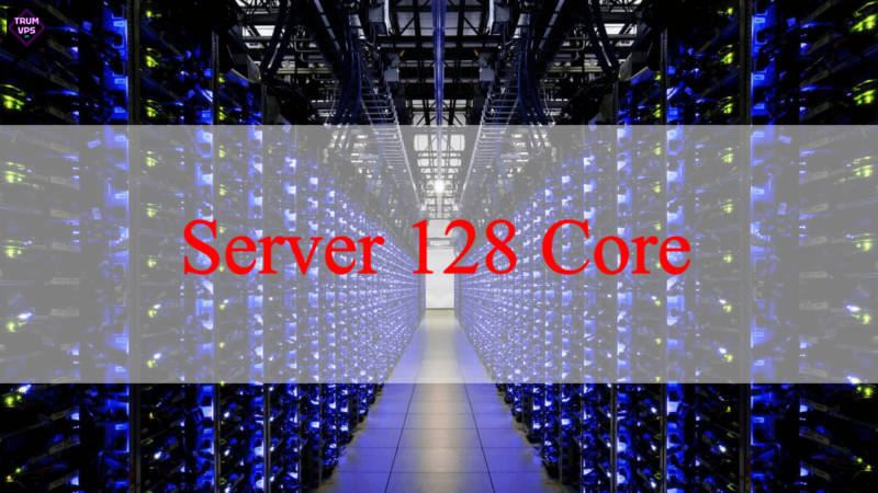 Tìm Hiểu Về Server Work, Các Loại Server Tại TrumVPS 2024