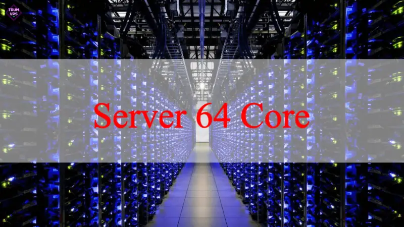 Tìm Hiểu Về Server Work, Các Loại Server Tại TrumVPS 2024