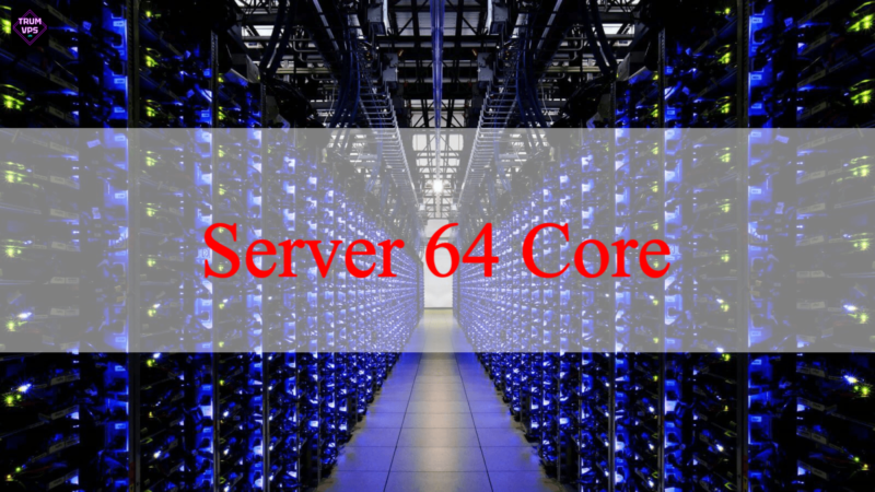 Tìm Hiểu Về Server Work, Các Loại Server Tại TrumVPS 2024