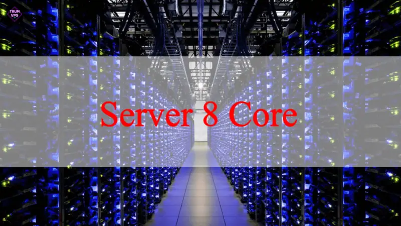 Tìm Hiểu Về Server Work, Các Loại Server Tại TrumVPS 2024
