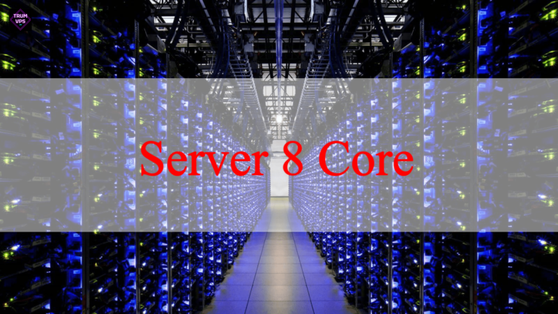 Tìm Hiểu Về Server Work, Các Loại Server Tại TrumVPS 2024
