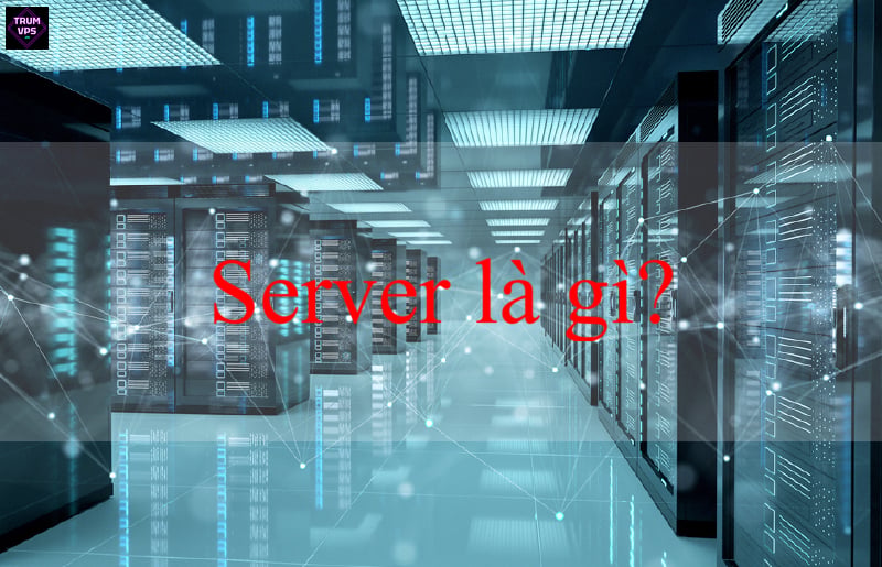 Server là gì Hướng dẫn từ A đến Z tại TrumVPS 2024