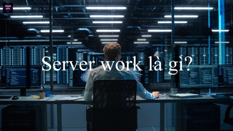 Tìm Hiểu Về Server Work, Các Loại Server Tại TrumVPS 2024