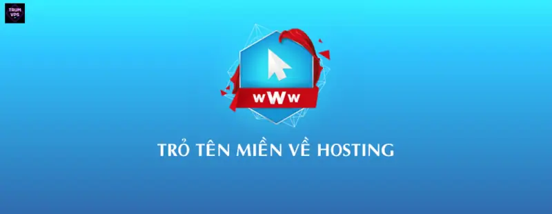 Tổng hợp các cách trỏ tên miền về website Update 8/2024 - TrumVPS