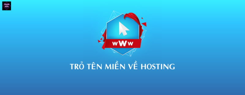 Tổng hợp các cách trỏ tên miền về website Update 8/2024 - TrumVPS