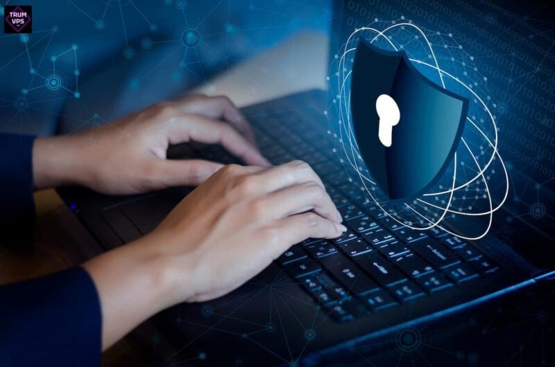 Server là gì Hướng dẫn từ A đến Z tại TrumVPS 2024