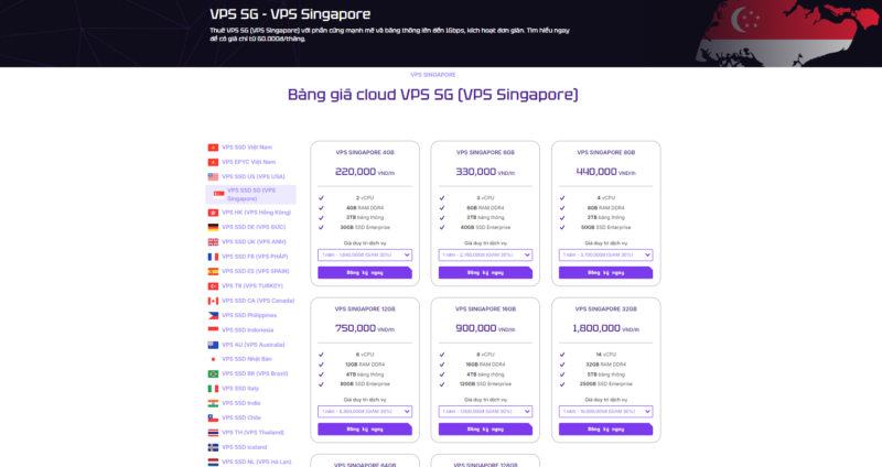 Tại Sao Nên Thuê VPS Singapore Tại TrumVPS