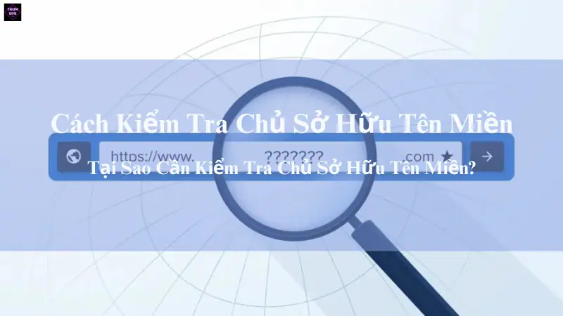 Cách Kiểm Tra Chủ Sở Hữu Tên Miền Đơn Giản Nhất