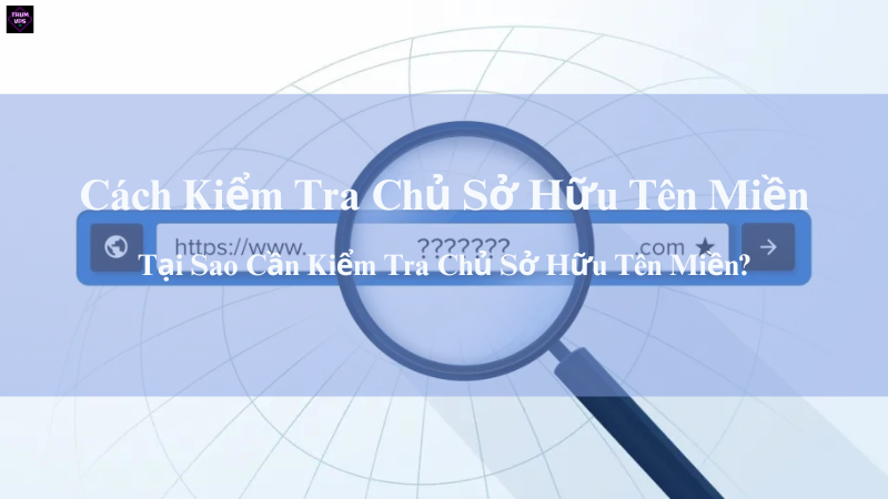 Cách Kiểm Tra Chủ Sở Hữu Tên Miền Đơn Giản Nhất
