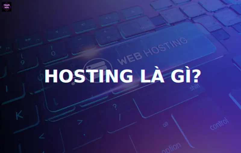 Hosting Nghĩa Là Gì? Tìm Hiểu Về Khái Niệm Quan Trọng Này