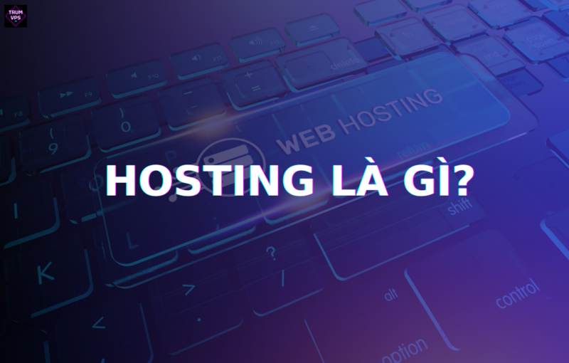 Hosting Nghĩa Là Gì? Tìm Hiểu Về Khái Niệm Quan Trọng Này