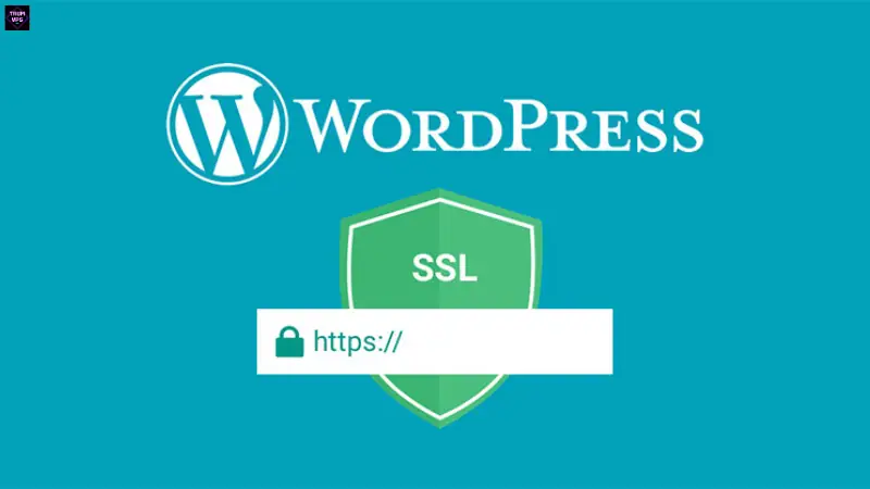 Hướng Dẫn Chi Tiết Cách Cài Đặt SSL Miễn Phí