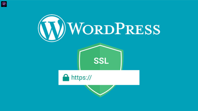 Hướng Dẫn Chi Tiết Cách Cài Đặt SSL Miễn Phí