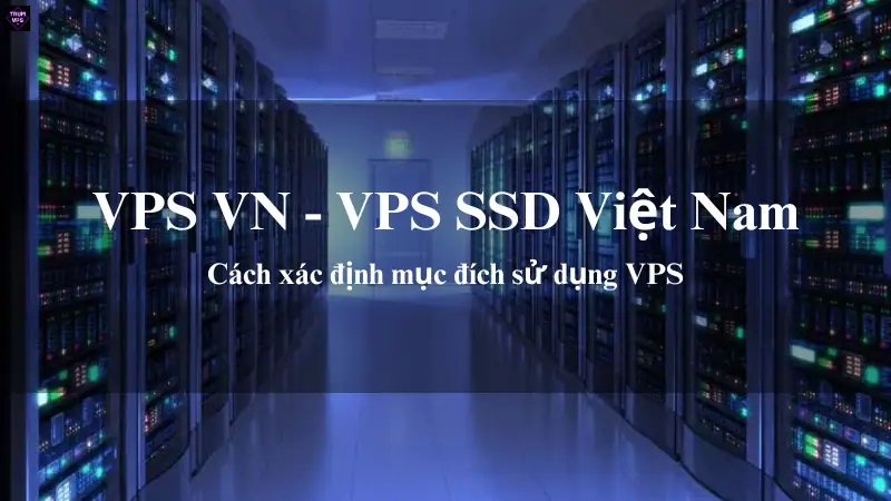 VPS VN & VPS SSD Việt Nam: Giải Pháp Phù Hợp Nhất Cho Nhu Cầu Của Bạn