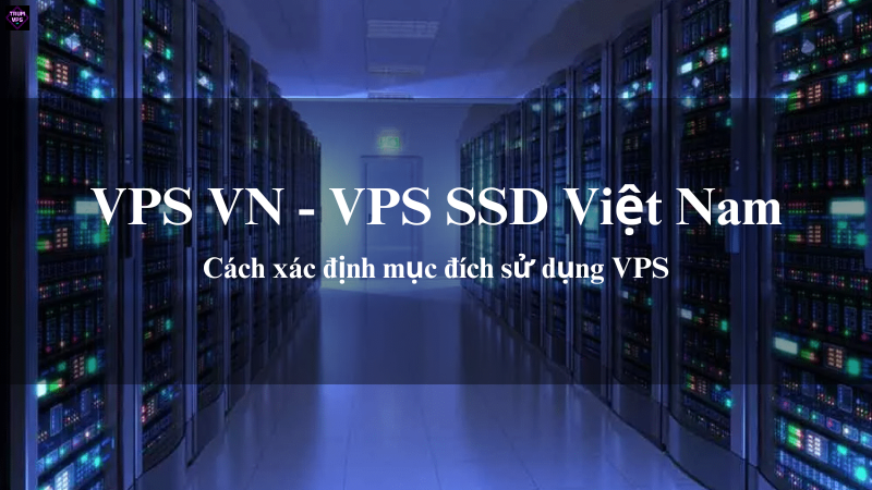 VPS VN & VPS SSD Việt Nam: Giải Pháp Phù Hợp Nhất Cho Nhu Cầu Của Bạn