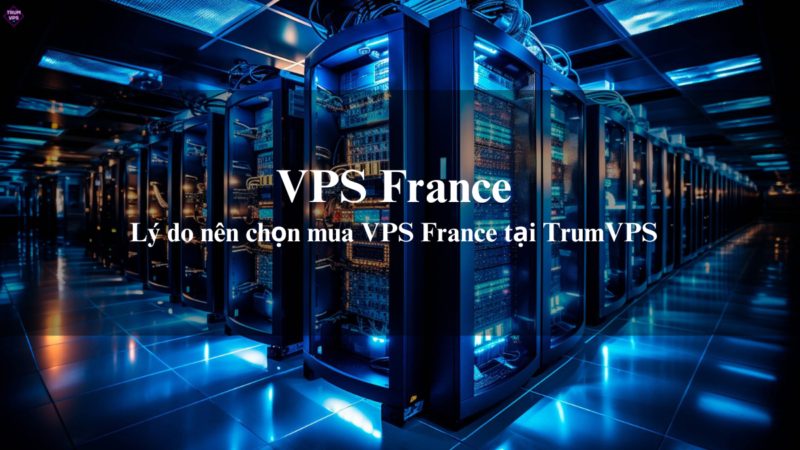 Lý Do Để Những Doanh Nghiệp Chọn Mua VPS France Tại TrumVPS