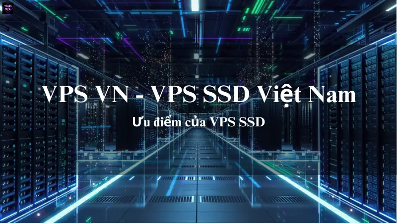 VPS VN & VPS SSD Việt Nam: Giải Pháp Phù Hợp Nhất Cho Nhu Cầu Của Bạn