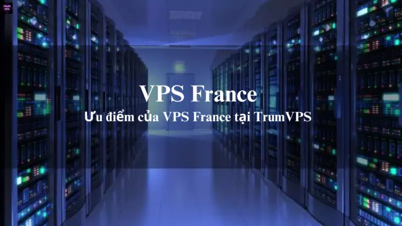 Lý Do Để Những Doanh Nghiệp Chọn Mua VPS France Tại TrumVPS