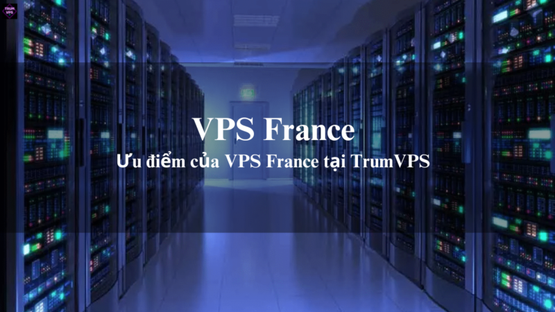 Lý Do Để Những Doanh Nghiệp Chọn Mua VPS France Tại TrumVPS