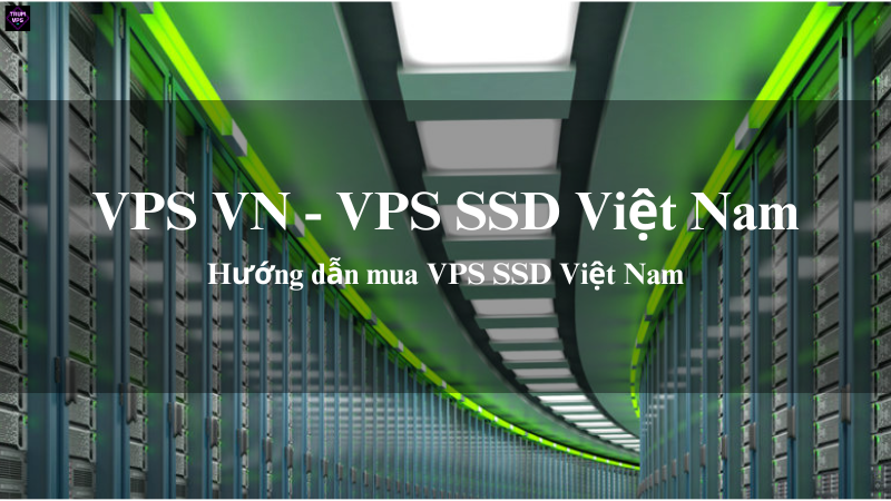 VPS VN & VPS SSD Việt Nam: Giải Pháp Phù Hợp Nhất Cho Nhu Cầu Của Bạn