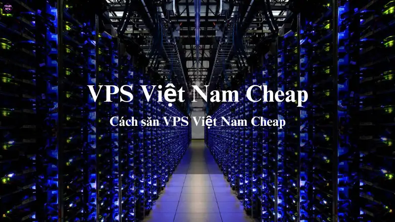 Thông Tin Chi Tiết Về VPS Việt Nam Cheap Của TrumVPS