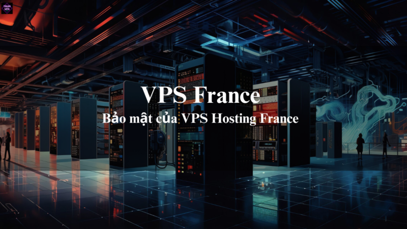 Lý Do Để Những Doanh Nghiệp Chọn Mua VPS France Tại TrumVPS