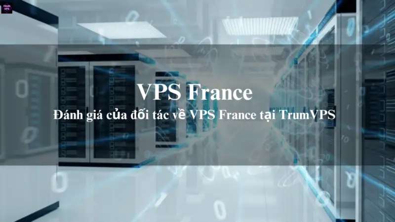 Lý Do Để Những Doanh Nghiệp Chọn Mua VPS France Tại TrumVPS