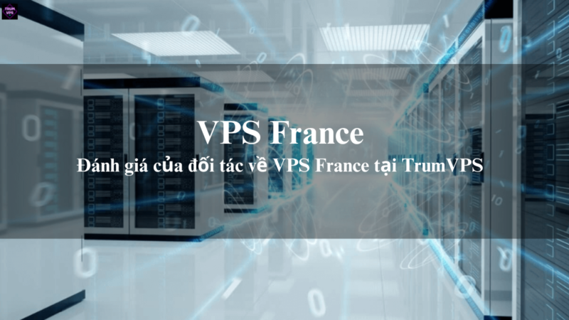 Lý Do Để Những Doanh Nghiệp Chọn Mua VPS France Tại TrumVPS