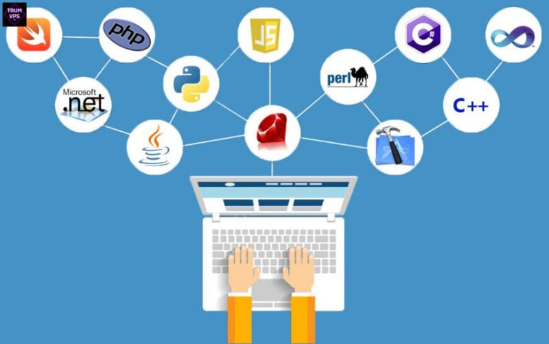 Top 5 Các Trang Web Dạy Lập Trình Miễn Phí 2024