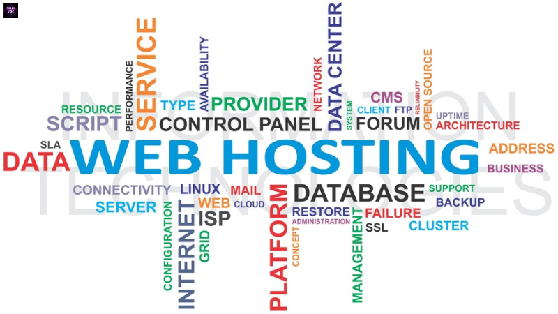 Tìm Hiểu Về Dịch Vụ Cho Thuê Hosting Và Hosting Tại TrumVPS